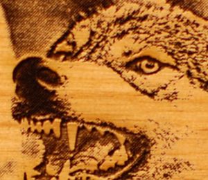 在雕刻小木照片時，如何在PhotoLaser Plus上實(shí)現(xiàn)更好的雕刻效果？</a>